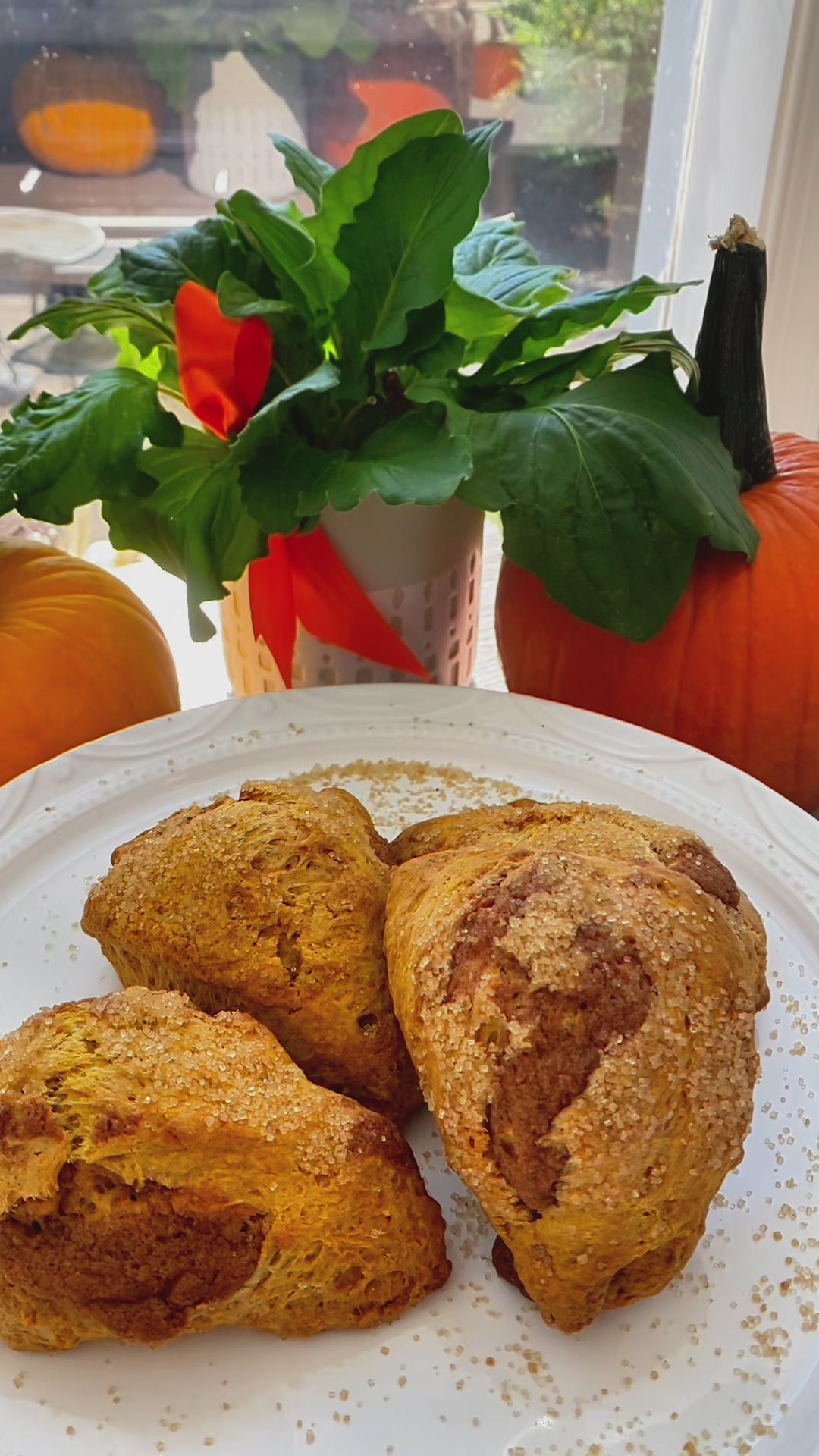 Flour + Oats Handbaked Scones